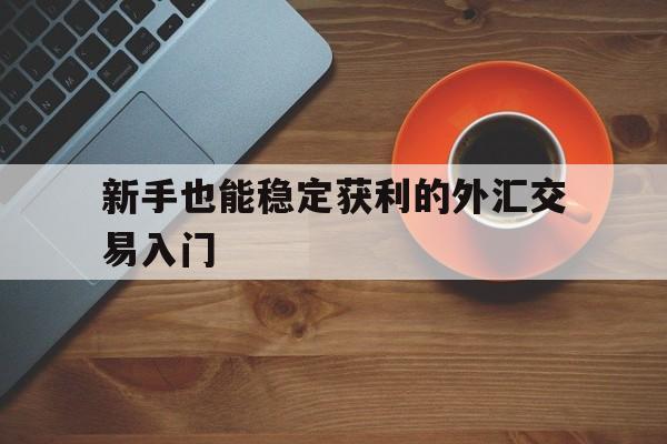 关于新手也能稳定获利的外汇交易入门的信息