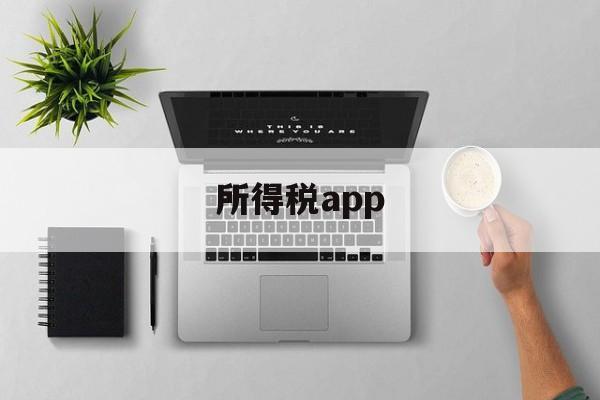 所得税app(广西个人所得税app)